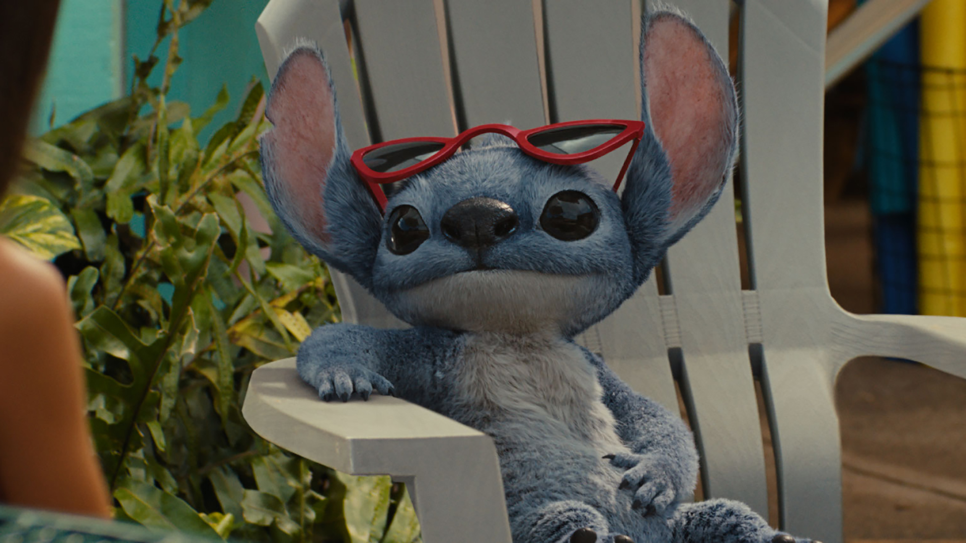 Stitch